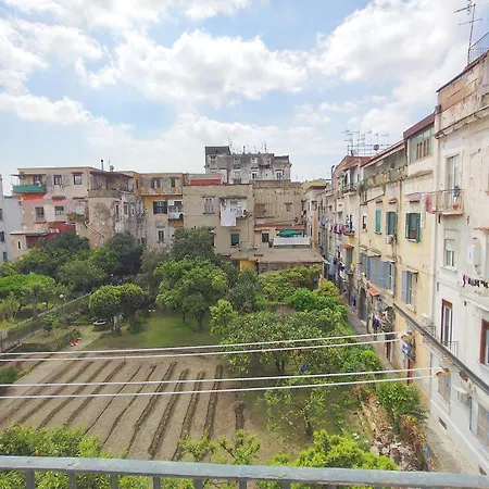 Affittacamere Albanova Napoli