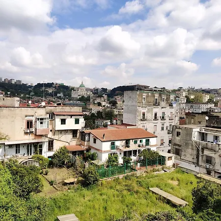 Albanova 게스트하우스