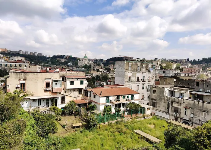 Albanova 게스트하우스